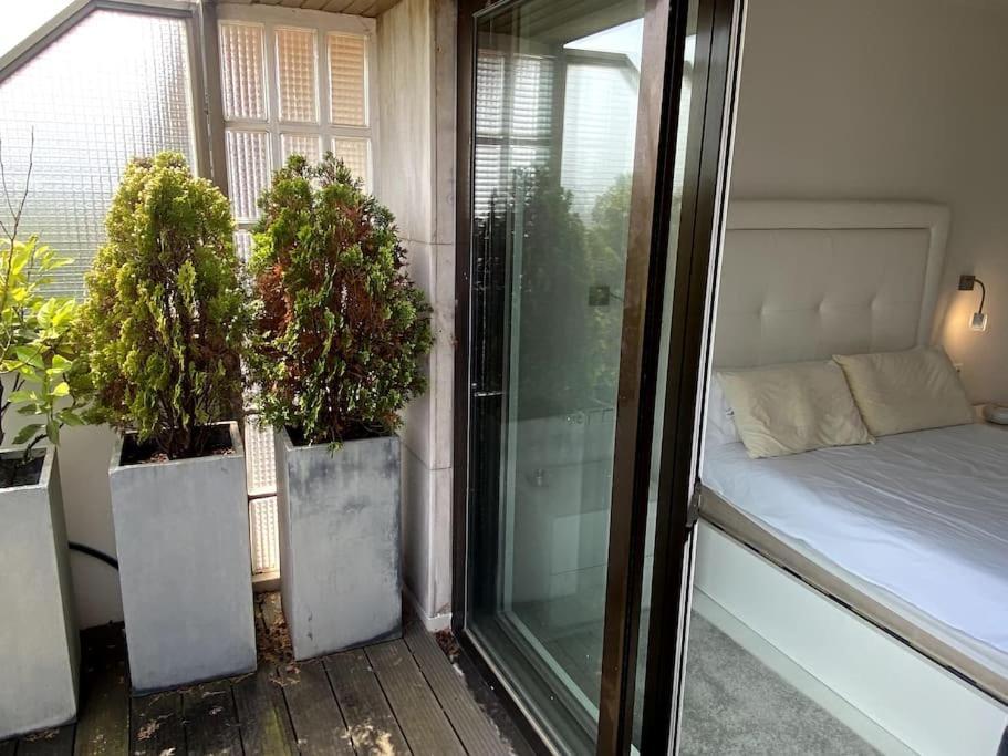 Avenida Vt - Vivienda Turistica Appartement San Sebastian Buitenkant foto